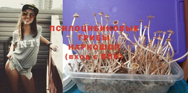 герыч Ельня