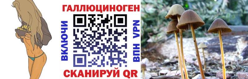 Купить закладки  Сокол  Галлюциногенные грибы MAGIC MUSHROOMS 
